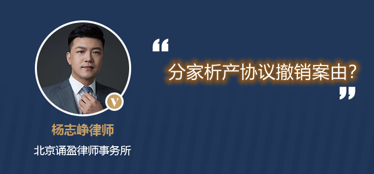 分家析产协议撤销案由?