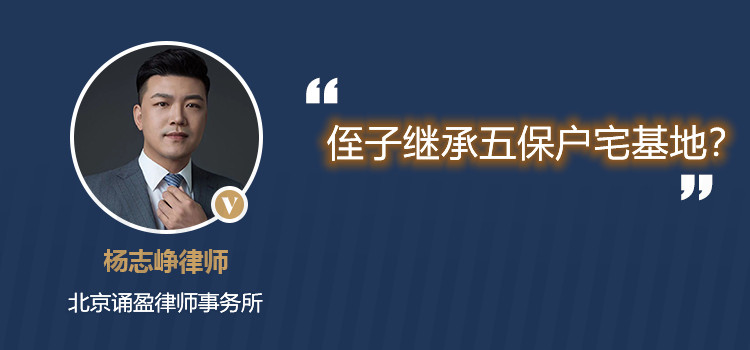 侄子继承五保户宅基地?