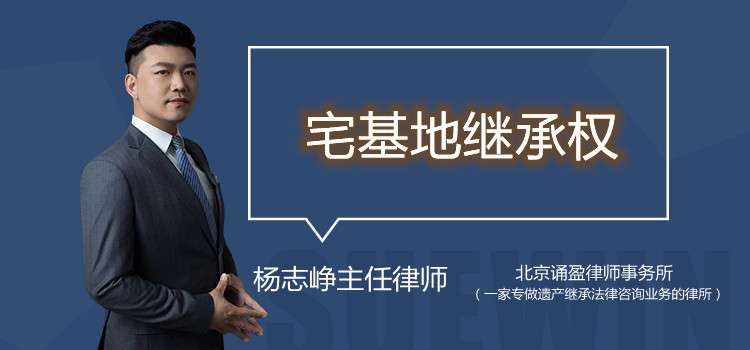 宅基地继承权