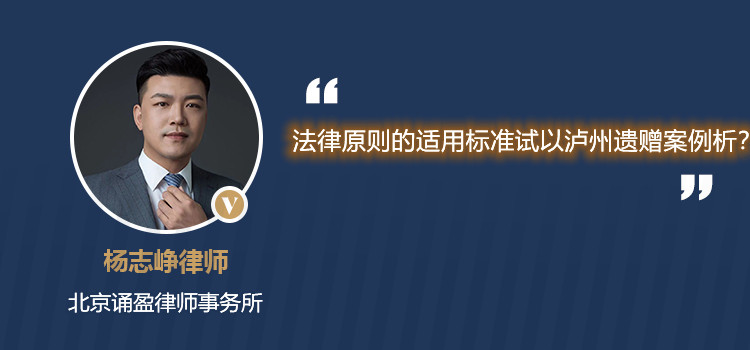 法律原则的适用标准 试以泸州遗赠案例析?