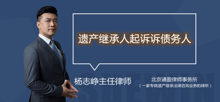 遗产继承人起诉诉债务人