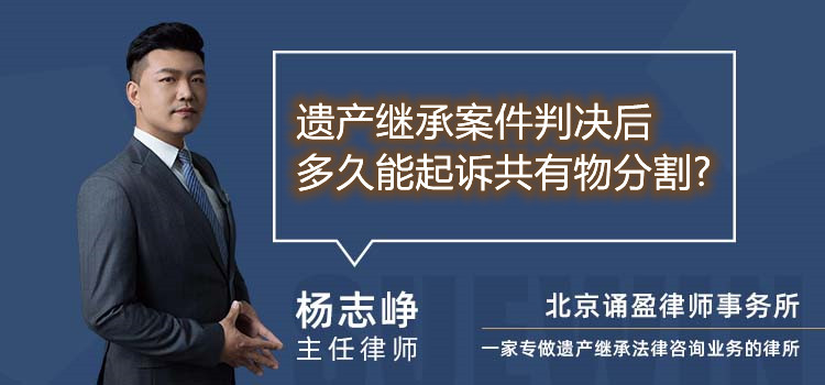 遗产继承案件判决后多久能起诉共有物分割